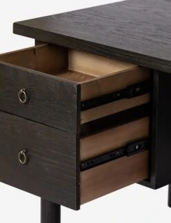 Amryn Desk -Lulu and Georgia Store 236529 001 DET 1