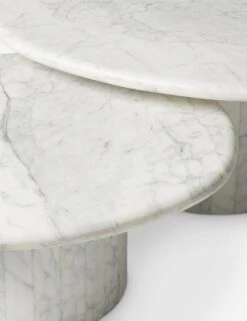 Bonastre Nesting Coffee Table (Set Of 2) -Lulu and Georgia Store 246190 001 DET 1 92387d43 0ce2 483b aa9d e55da0736d61