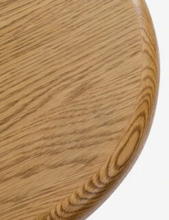 Hesh Round Side Table -Lulu and Georgia Store CH 1002300 VN14 FN LV ST NT OS DETAIL01 Product