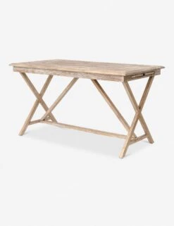 Marcotte Desk 8 Marcotte Desk -Lulu and Georgia Store CIMP 56 WW PRM 1