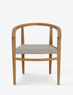 Carlita Indoor / Outdoor Chair