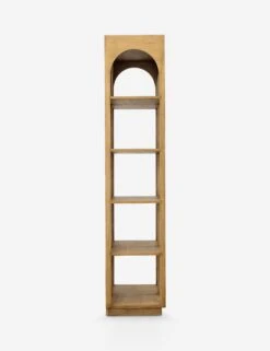 Ernesto Bookcase -Lulu and Georgia Store DOV11662 P