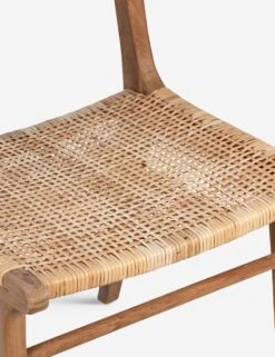 Schmidt Dining Chair 6 Schmidt Dining Chair -Lulu and Georgia Store DOV7760NScl2