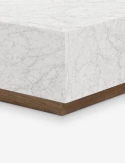 Janus Coffee Table -Lulu and Georgia Store Lulu And Georgia 241862 001 DET 2 Product