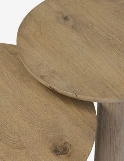 Venturi Nesting Side Tables (Set Of 2) -Lulu and Georgia Store Lulu and Georgia 248346 001 DET 3 Product