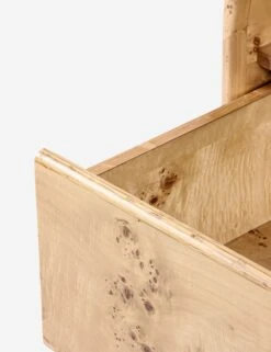 Boyan Nightstand -Lulu and Georgia Store Lulu and Georgia BDM00228 5 product