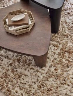 Trio Nesting Coffee Table -Lulu and Georgia Store TeeganRugLivingRoom 4734 SITECROP 2 9e31f075 2696 4854 a967 436fb9834012