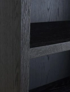 Faron Cabinet 11 Faron Cabinet -Lulu and Georgia Store VL 1067 02 05