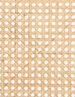 Jaz Office Chair -Lulu and Georgia Store ctow 0040203 084p det 2