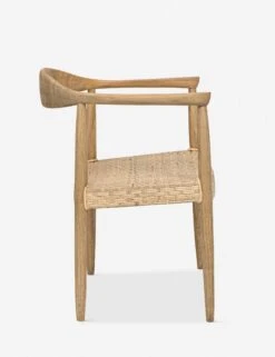 Trisha Dining Chair -Lulu and Georgia Store gcha281m 4