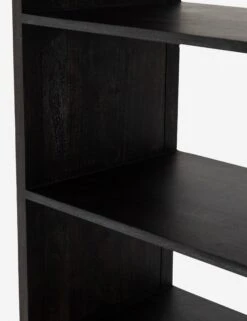Hannah Bookcase -Lulu and Georgia Store iprs 025 det 9
