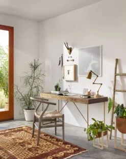 Gradie Indoor / Outdoor Dining Chair 25 Gradie Indoor / Outdoor Dining Chair -Lulu and Georgia Store jlan 168a rom 1