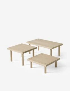 Yucca Stand By Sun At Six