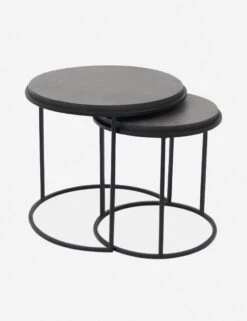 Nalya Nesting Side Tables (Set Of 2) -Lulu and Georgia Store vh 1008 02 01